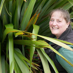 Megan Ireland, Ōtari-Wilton’s Bush head gardener