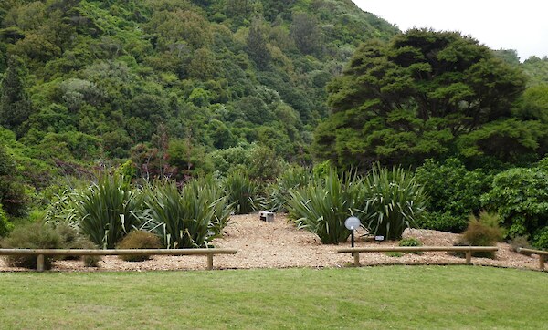 Pā Harakeke