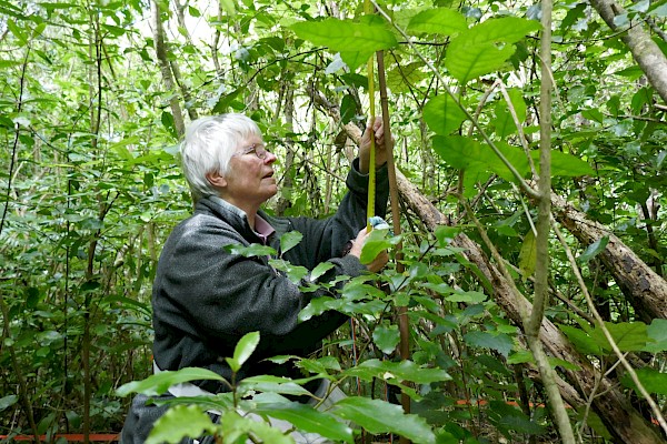 Dr Carol West measuring growth